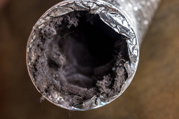 Best Ventilation Cleaning Services  in New Haven, MI
