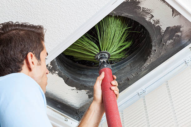 Best Duct Cleaning Specialists  in New Haven, MI