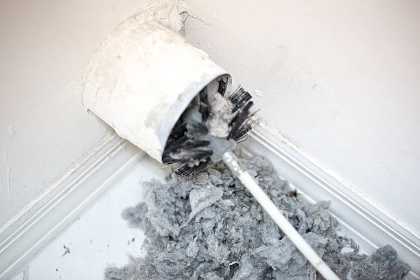 Best Dryer Vent Cleaning Services  in New Haven, MI