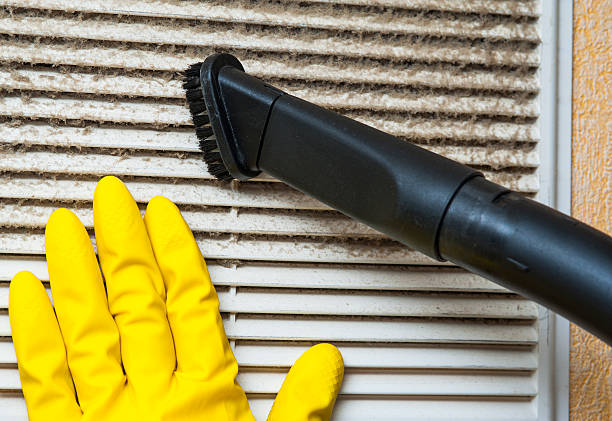 Best Air Duct Mold Removal  in New Haven, MI
